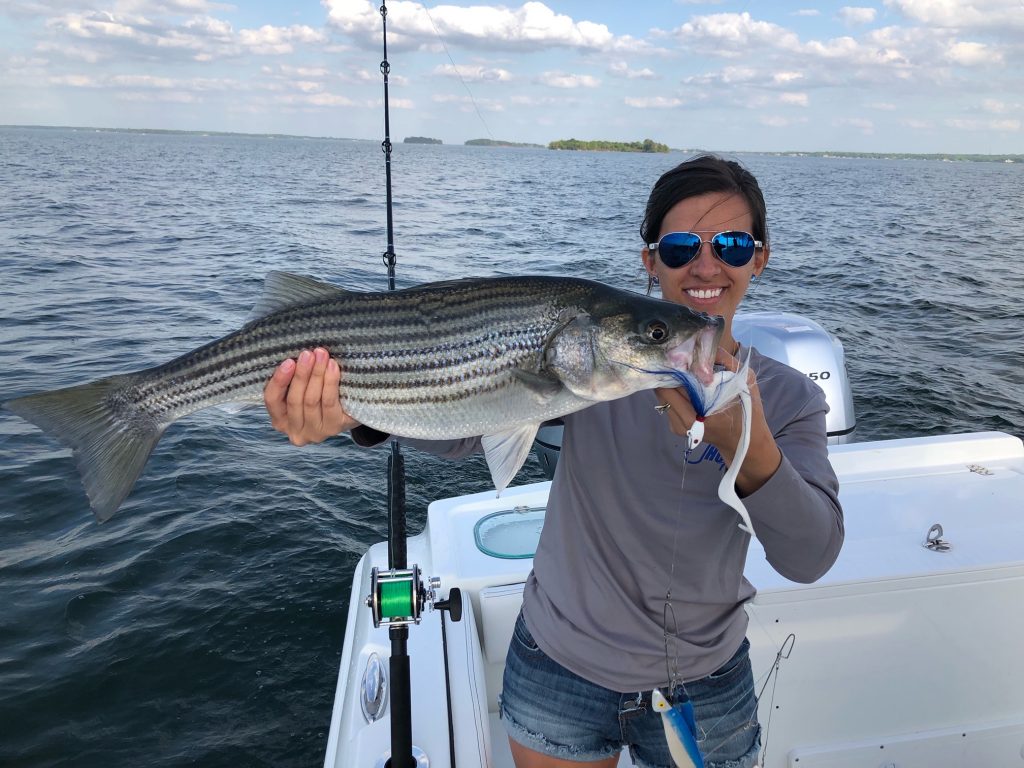 Lake Murray striped bass