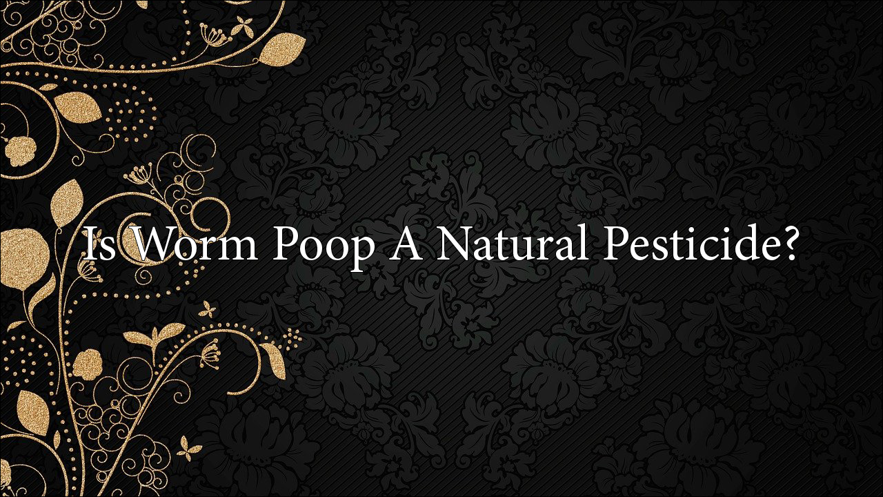 Is Worm Poop A Natural Pesticide?