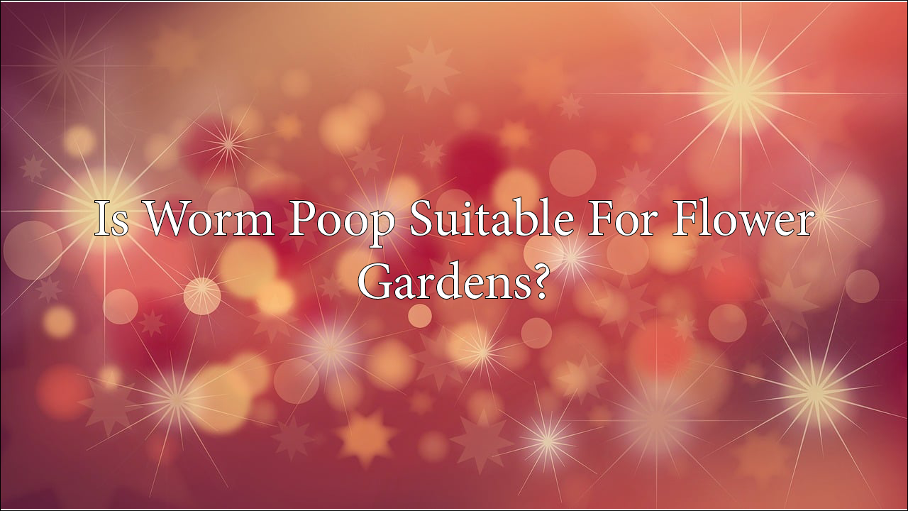 Is Worm Poop Suitable For Flower Gardens?