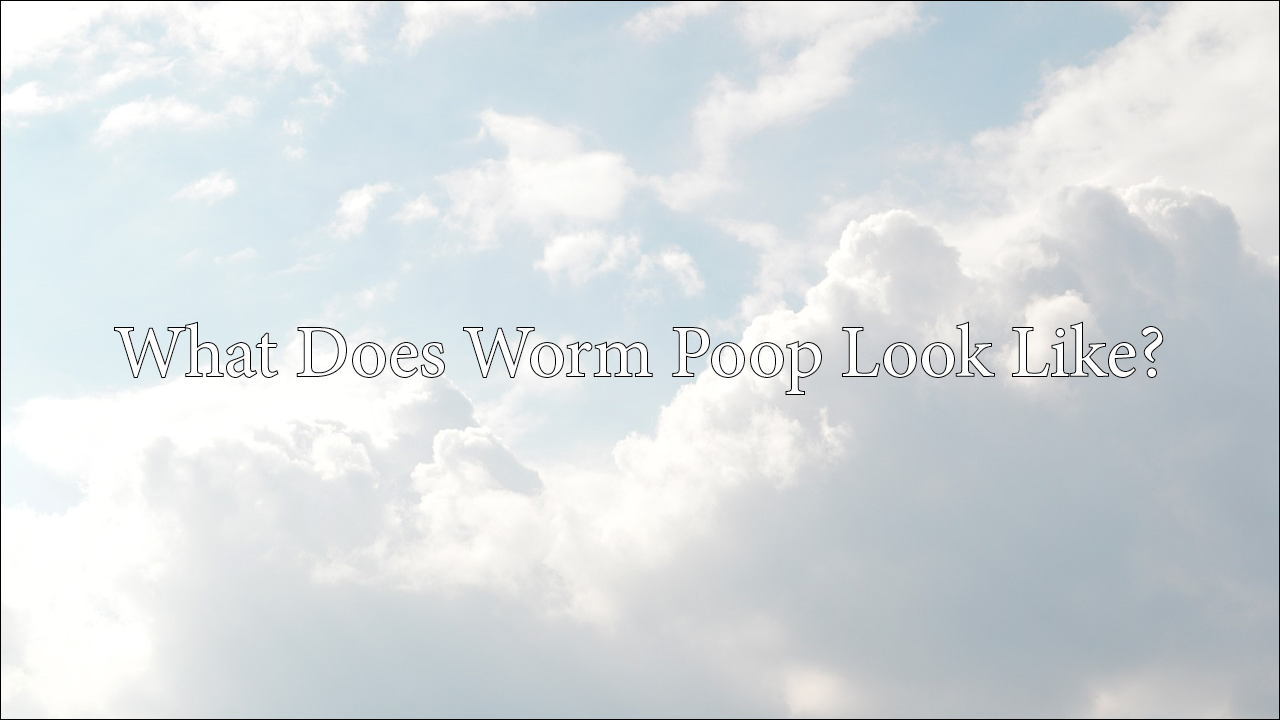 What Does Worm Poop Look Like?