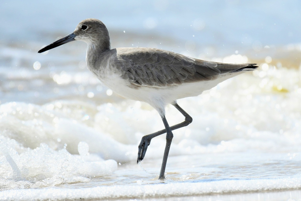 How Do I Maintain My Waders?