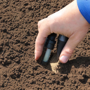 soil ph testing