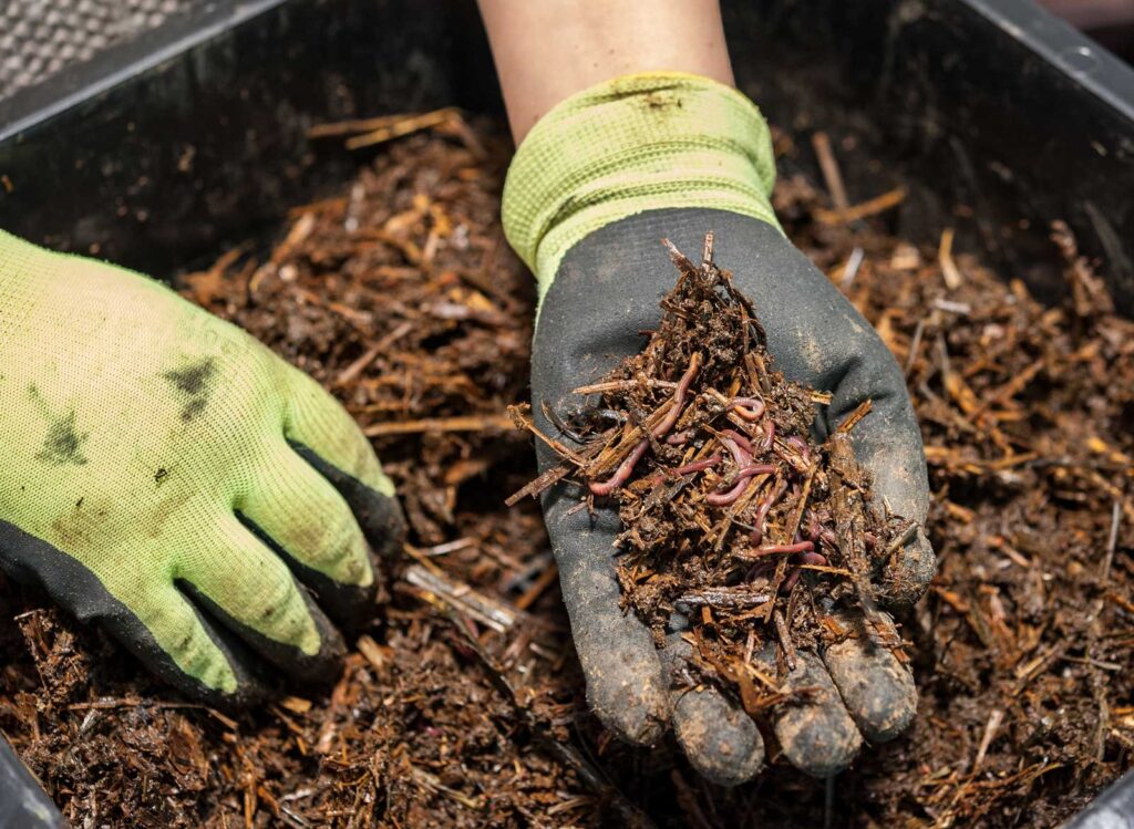 The Benefits of Vermicomposting Improves Soil Quality