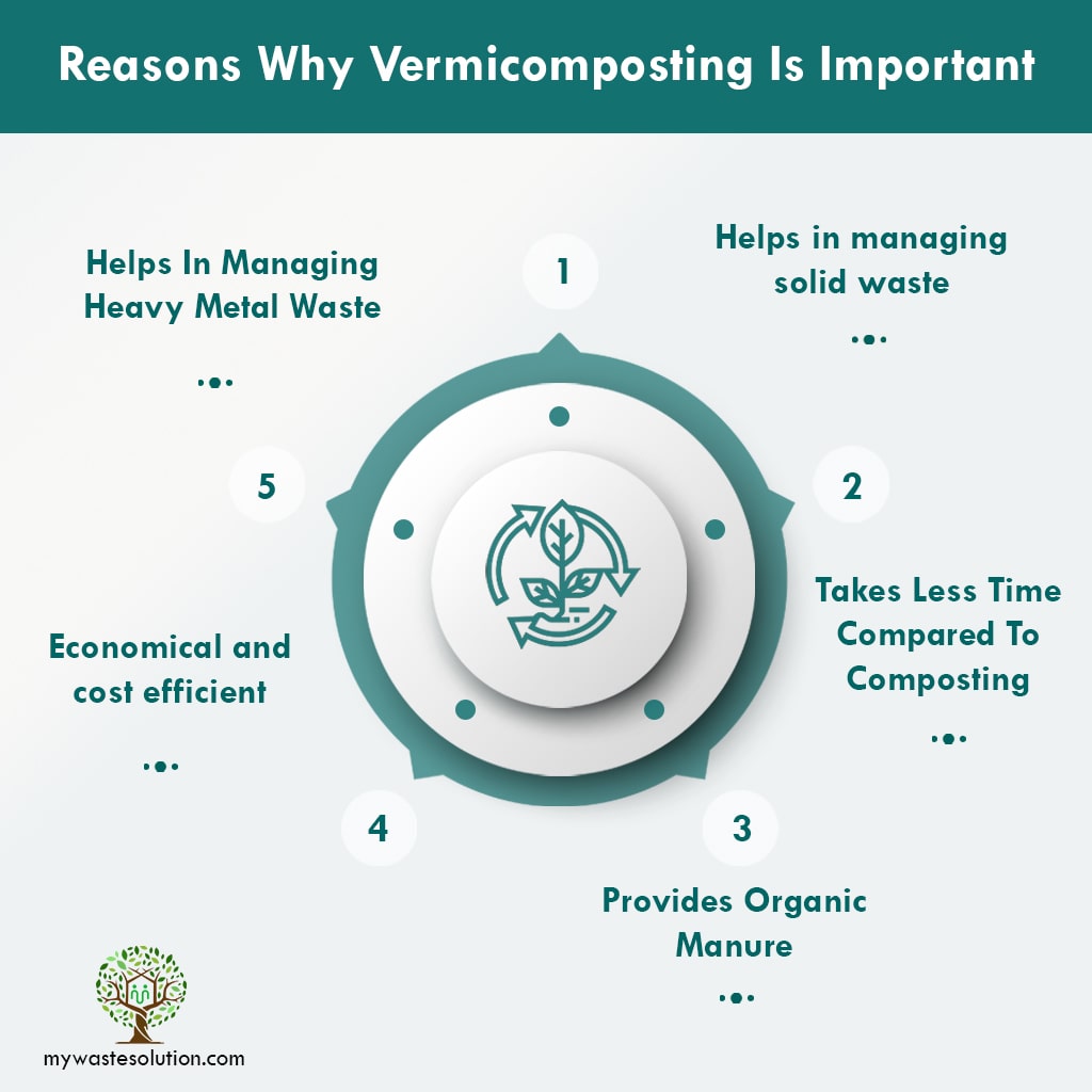 The Benefits of Vermicomposting Reduces Landfill Waste