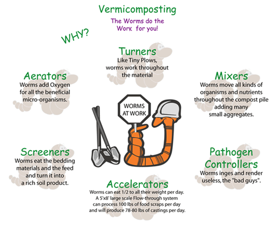 The Benefits of Vermicomposting The Benefits of Vermicomposting