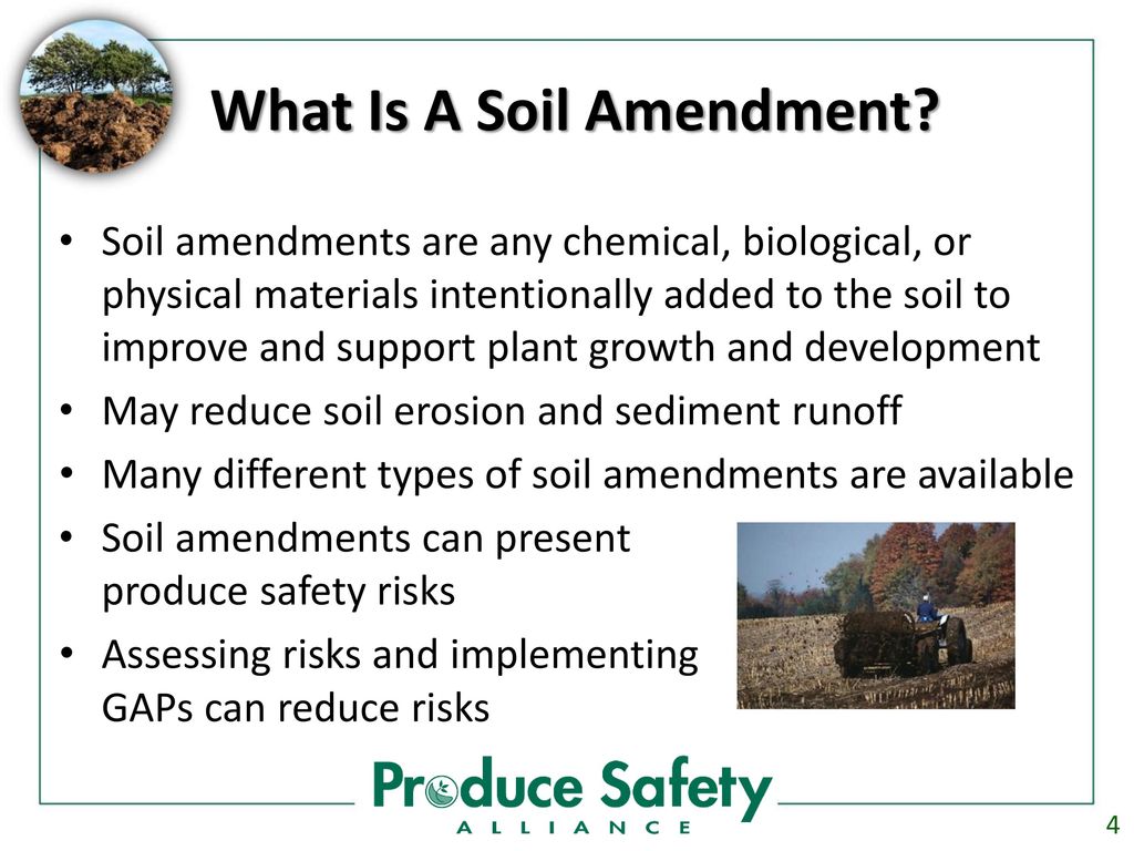 Understanding the Importance of Soil Amendments