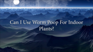 Can I Use Worm Poop For Indoor Plants?