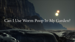 Can I Use Worm Poop In My Garden?