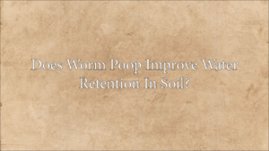 Does Worm Poop Improve Water Retention In Soil?