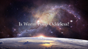 Is Worm Poop Odorless?