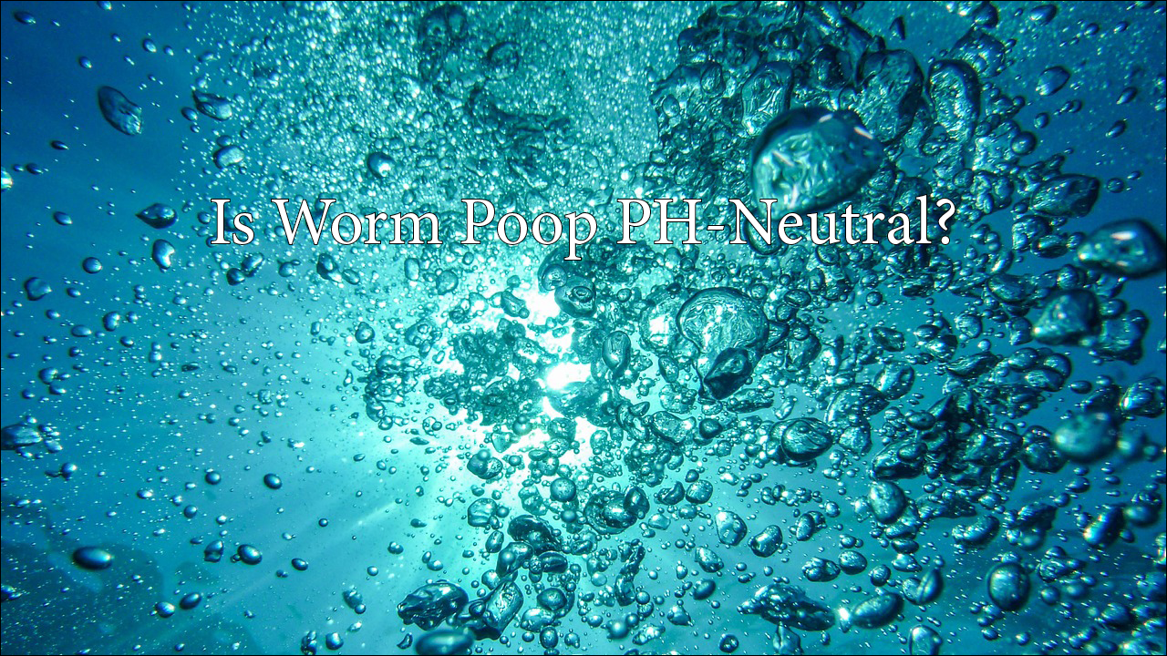Is Worm Poop PH-Neutral?