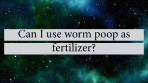 Can I Use Worm Poop As Fertilizer?