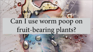 Can I Use Worm Poop On Fruit-Bearing Plants?