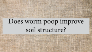 Does Worm Poop Improve Soil Structure?