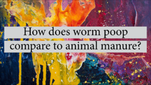 How Does Worm Poop Compare To Animal Manure?