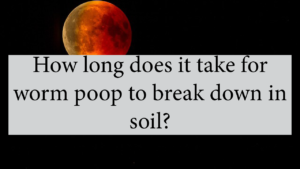 How Long Does It Take For Worm Poop To Break Down In Soil?