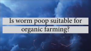 Is Worm Poop Suitable For Organic Farming?